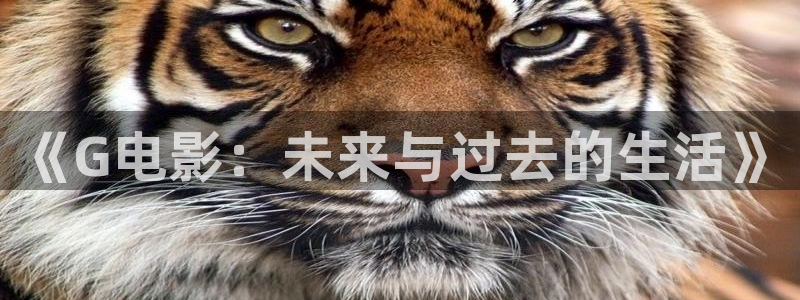 橘子影視tv版：《G電影：未來與過去的生活》
