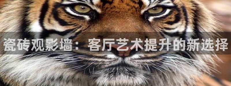 橘子視頻.：瓷磚觀影墻：客廳藝術提升的新選擇