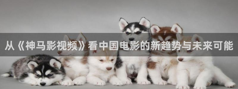 橘子視頻電視版下載：從《神馬影視頻》看中國電影的新趨勢與未來可能