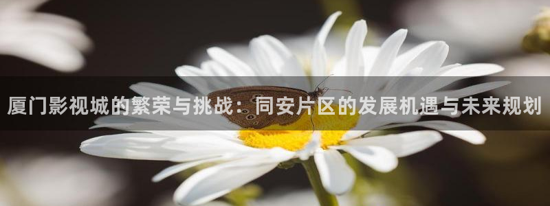 橘子了：廈門影視城的繁榮與挑戰：同安片區的發展機遇與未來規劃